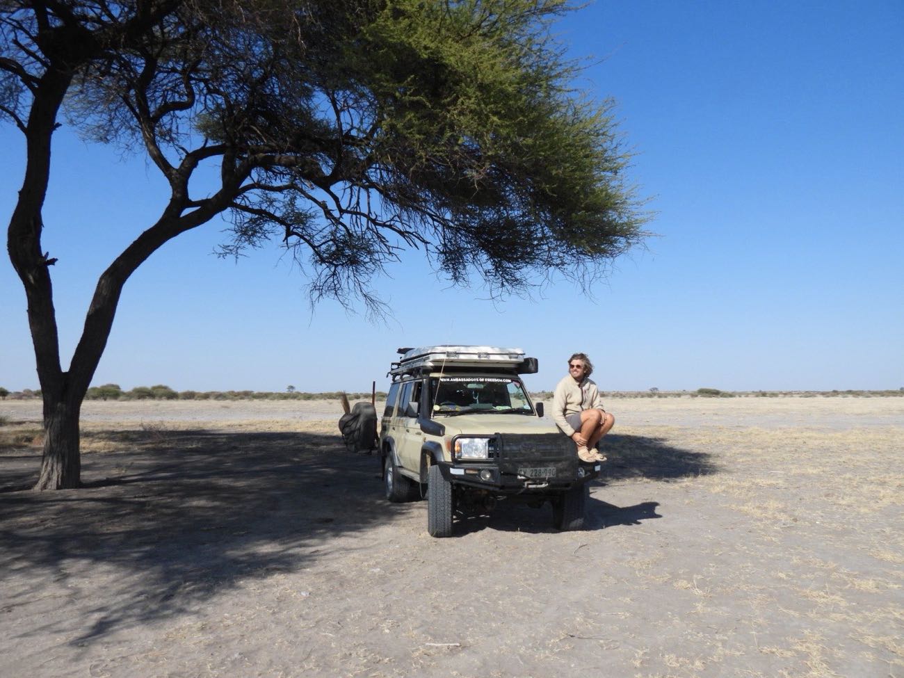 Een Land Cruiser in het struikgewas