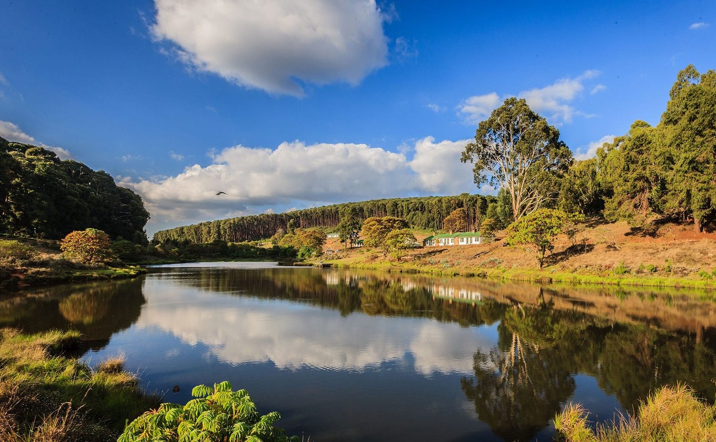 Chelinda Camp's cottages sit beside the dam in Nyika National Park