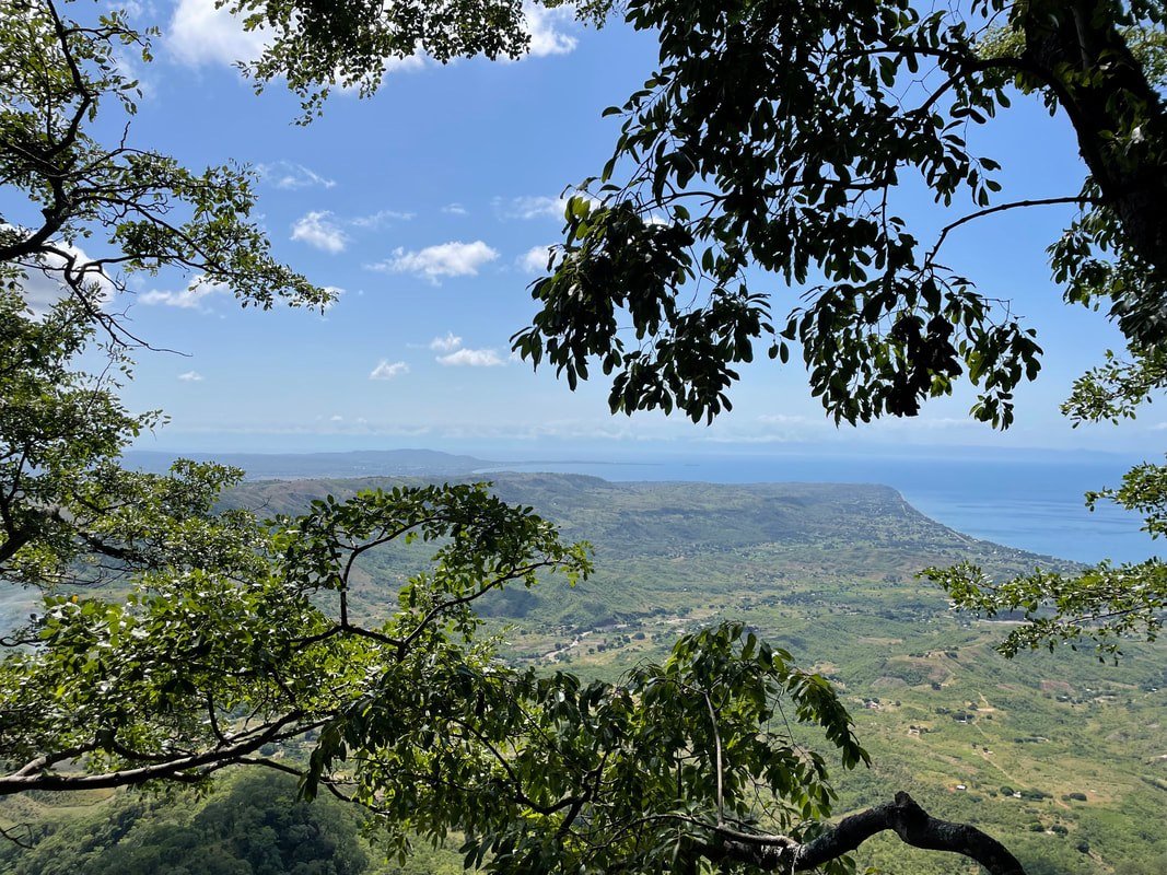 Trees frame a sweeping view of Lake Malawi from The Mushroom Farm near Nyika National Park